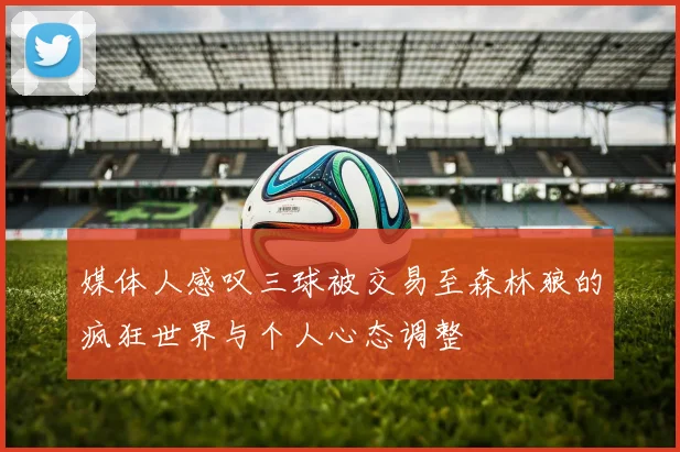 媒体人感叹三球被交易至森林狼的疯狂世界与个人心态调整